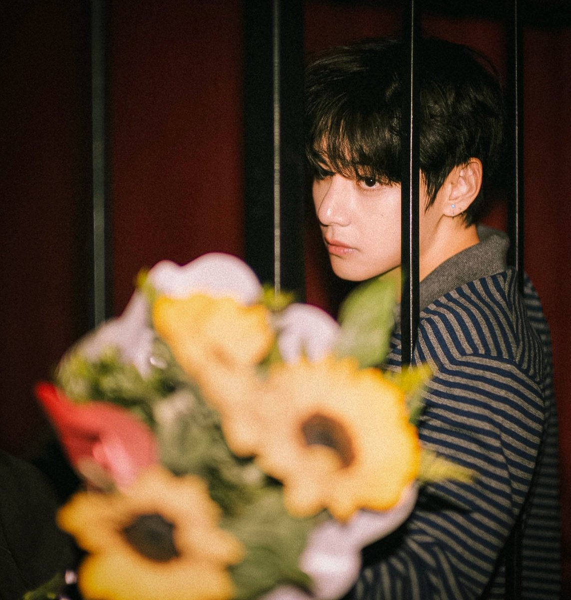 Neversaidzt's tweet photo. Trao nàng Hoa hướng Dương
Gửi tặng người anh thương
Dẫu biết rằng không thể
Nhưng vẫn hoài vấn vương
Hương thơm mãi bên thềm 
Lá vàng lại già thêm
Người mãi chẳng quay về

I'm voting for #ARIASBTS at the 2026 ARIA Music Awards. https://t.co/2tlCa9G0V0