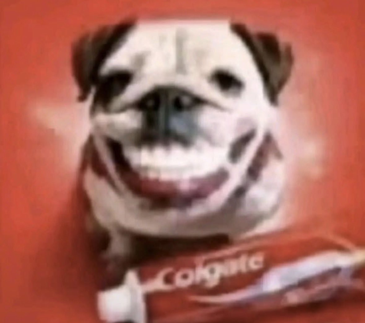 nubecitacrack's tweet photo. @muffinkito Es el chocolate del pastel https://t.co/0A3WKNhMbN