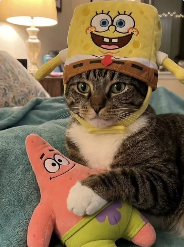 SpongeBobpng's tweet photo. https://t.co/yeISRDJmsr
