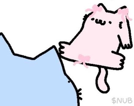 meowssacre's tweet photo. A gift for you, wrapped in a bow. 💕 https://t.co/tBuJZP4nO2