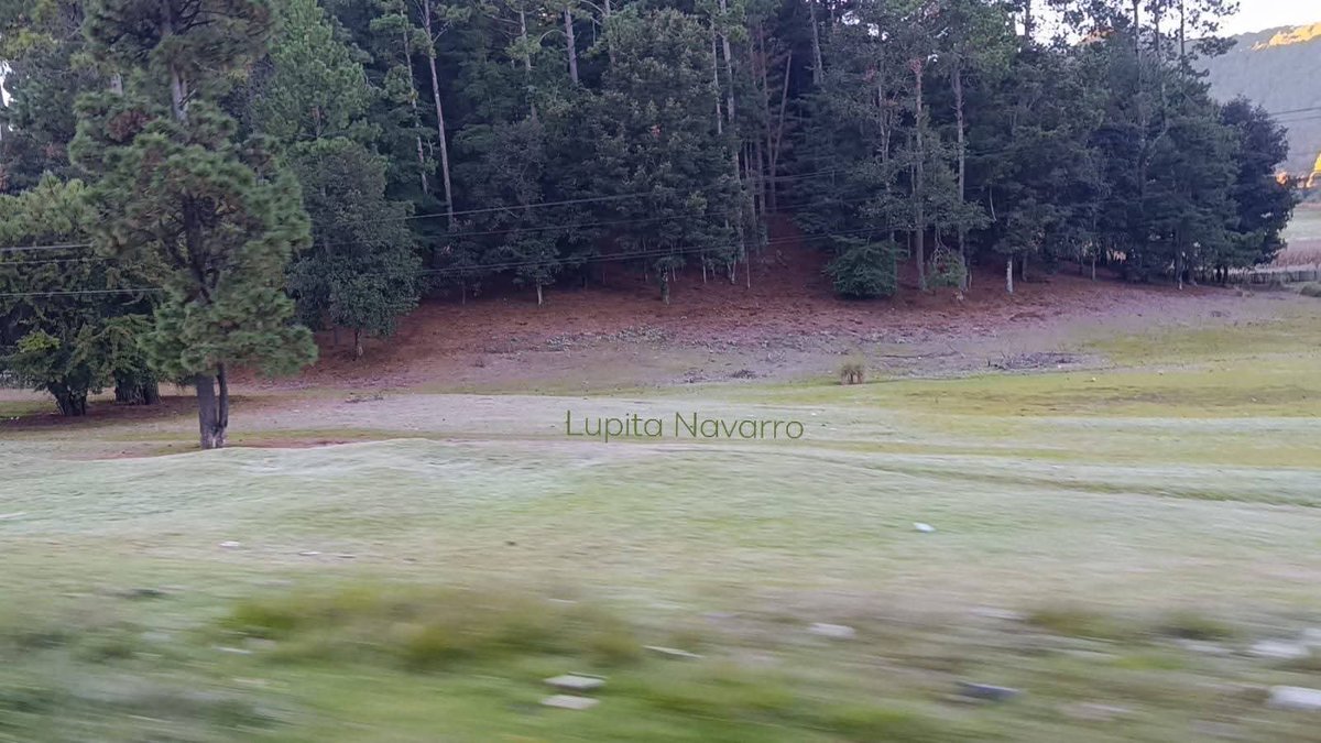 ChiapasMeteo's tweet photo. Comienzan las heladas en la región Altos de #Chiapas. Lupita Navarro comparte estas fotos desde #Mitzitón, San Cristóbal de las Casas, donde el campo tenía una capa de escarcha.
El termómetro del automóvil registró una temperatura de 1 °C

#Octubre #frío #SanCristobal #helada https://t.co/9oTSvUx5Pi
