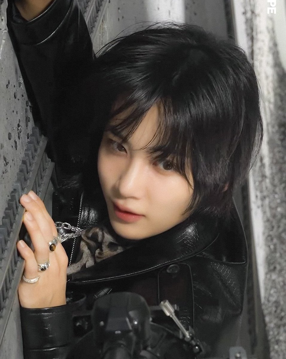 hanihe100495's tweet photo. 쫑냥이🫳🫳 https://t.co/9mho9zYBWr