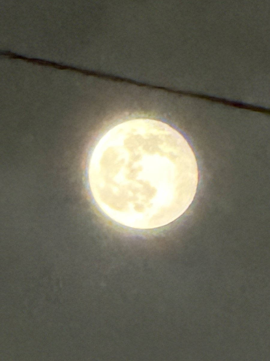 some_toshi's tweet photo. 月が真ん丸で綺麗です🌕
携帯でどこまで寄れるかなぁってズームしたら、雪見だいふくが食べたくなりま出発た✨ https://t.co/iP49I50TpM