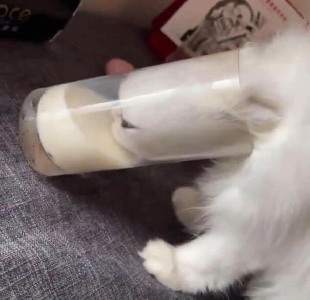 grivaem's tweet photo. aku mau minum susu https://t.co/VjtKFx46PI