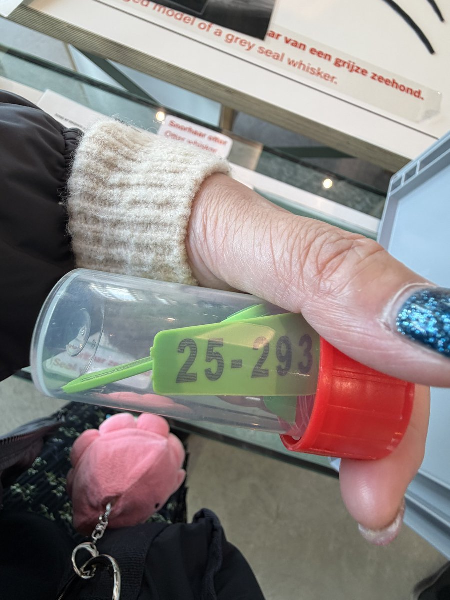 r_ruby_r's tweet photo. #IdeasToSaveWEC 
When I visited WEC before, I saw a seal's explanation box. There was a tag to attach to the tail fin of the seal. That number was probably an extra number. I'm sure these are discarded or stored without using them. I want you to sell this.🏷️

#アザラシ幼稚園 https://t.co/ZVH0yb6OPp