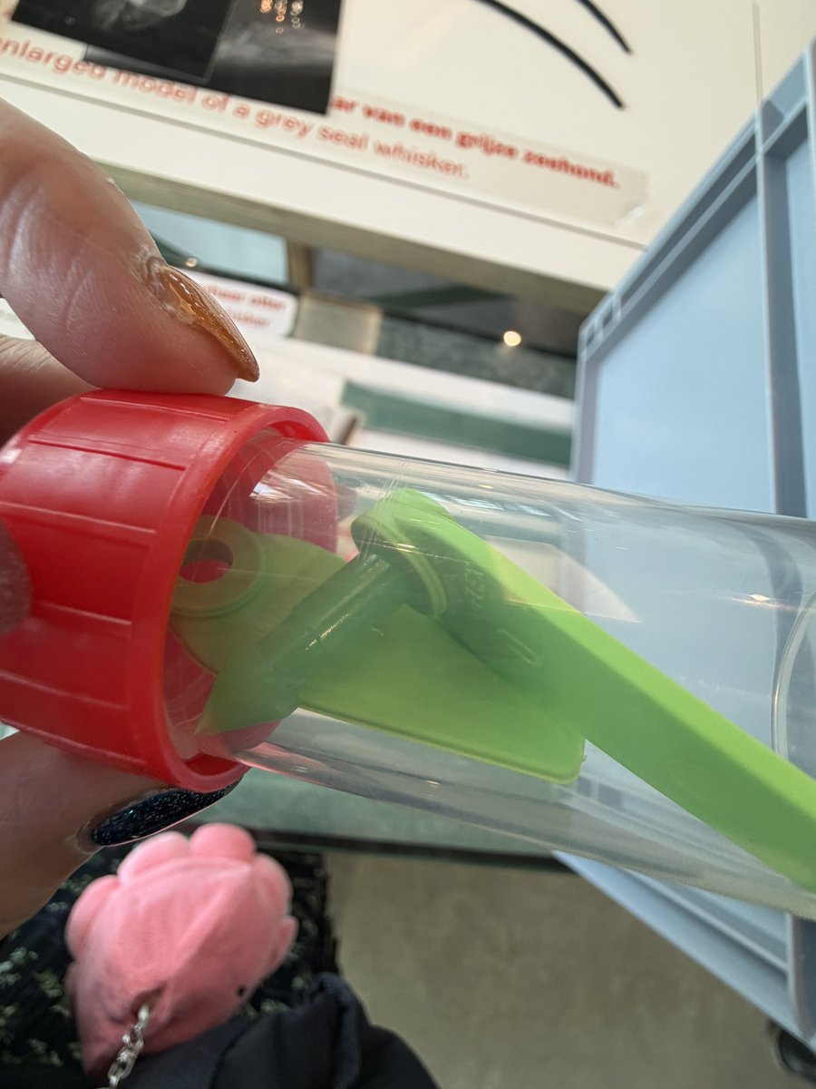 r_ruby_r's tweet photo. #IdeasToSaveWEC 
When I visited WEC before, I saw a seal's explanation box. There was a tag to attach to the tail fin of the seal. That number was probably an extra number. I'm sure these are discarded or stored without using them. I want you to sell this.🏷️

#アザラシ幼稚園 https://t.co/ZVH0yb6OPp