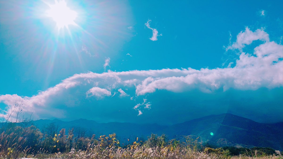 kojinyoro's tweet photo. どんより天気だったけど、一瞬晴れ間が出てくれた～☀️ https://t.co/9NDQ2qfN88