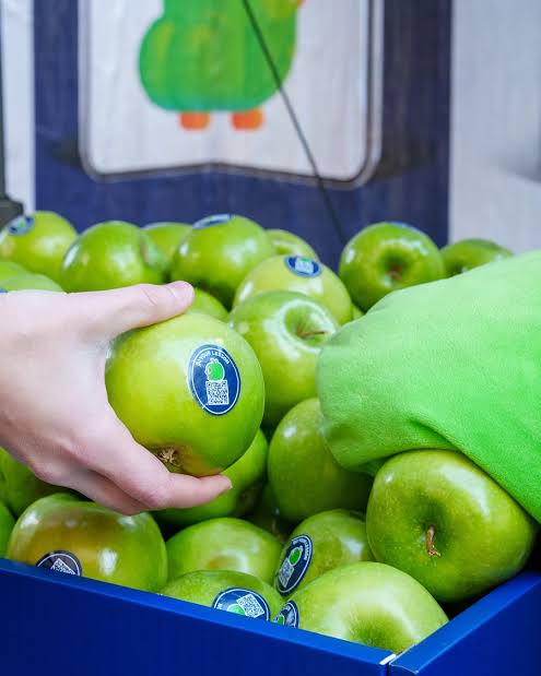 Eng_Anmar's tweet photo. دولينجو لعبها صح مع آبل 🦉🍏

بالتزامن مع إطلاق iPhone Duo..

وزع دولينجو تفاح أخضر مجاني أمام متجر آبل في نيويورك..

سبب الفكرة هو اسم Duo المشترك بين الجهاز وشخصية دولينجو

وعلى كل تفاحة رمز QR وعبارة: انجز درسك 

الذكاء التسويقي هنا: 

تستفيد من اهتمام الجمهور بحدث يخص علامة ثانية وتربطه بهويتك بطريقة توجّه الانتباه لاستخدام منتجك أنت👍