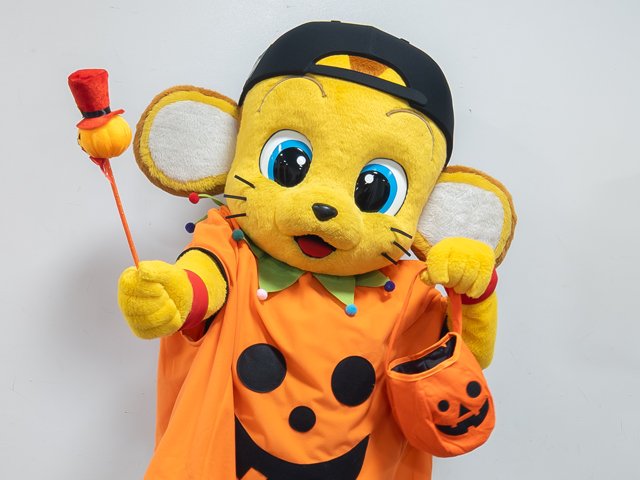 TigersDreamlink tweet picture