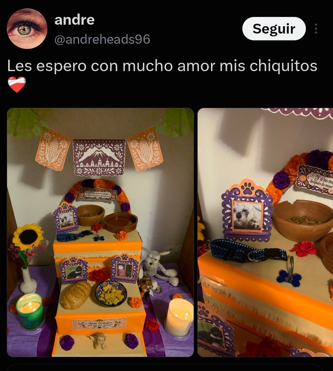 sasukeconejito's tweet photo. Qué se vayan mucho a la verga estás y muchos otros pendejos y pendejas que se quieren apropiar de las tradiciones MEXICANAS, como si no se la pasarán todo el año burlándose o metiéndose con él país, pero ahora sí salen de mamadoras con sus altares piteros, chinguen a su madre https://t.co/oCVUOulxlV