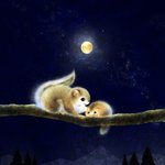 Photo by いぬい さえこ🐿️ (@ForestStoryTime)