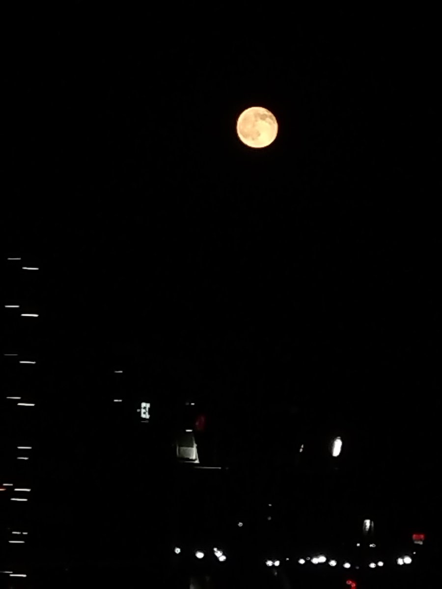 tayu_RhZG's tweet photo. 月がキレイですね☺️
#タイガみて
#タイガ日和
#イマソラ https://t.co/60oyovguun
