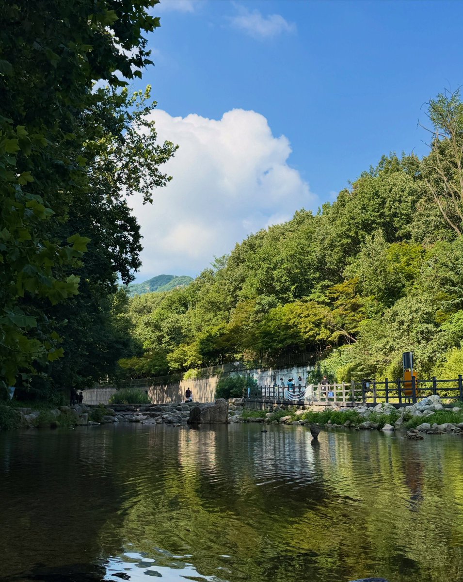 Jutseo's tweet photo. Hand in hand with the tranquil rhythm of nature, every footstep feels deliberate yet way entirely unhurried. This is a total POV when you have a peaceful walk with me. 𓂃 ོ☼ I love that agenda. https://t.co/R50bi5ZWSC