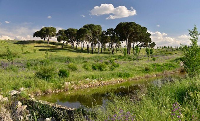 Lineamadrid's tweet photo. Antiguos cazaderos reales que hoy son corredores verdes en Madrid 💚.
De El Pardo a Valdebebas, de la Dehesa de la Villa a la Casa de Campo… perfectos para correr, pasear o desconectar del ruido.
«Patrimonio verde. Parques forestales»
¿Cuál es tu favorito? 🌳
👉 https://t.co/KvjPOMTz7t