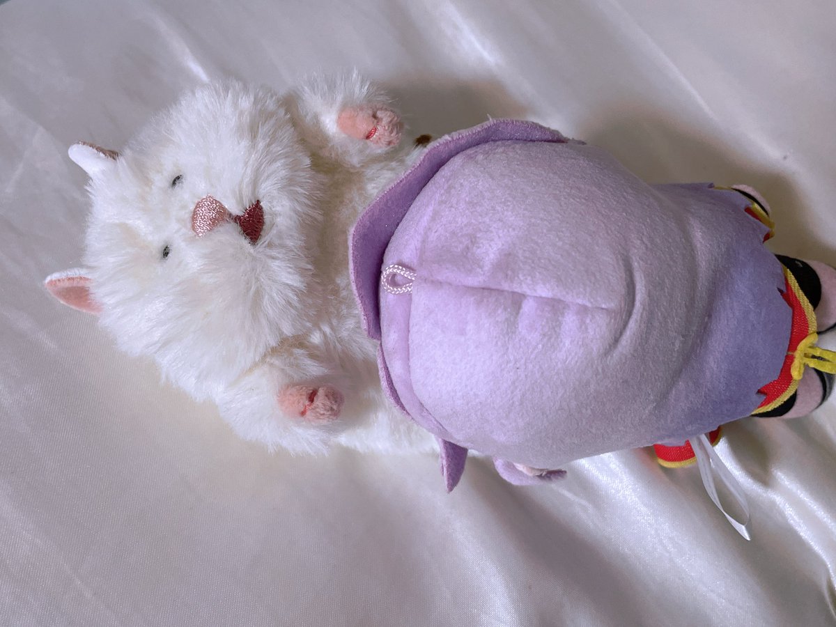 nui_nao414's tweet photo. ふーん、フワフワしてるね
いいじゃん https://t.co/9ZrN4feH74