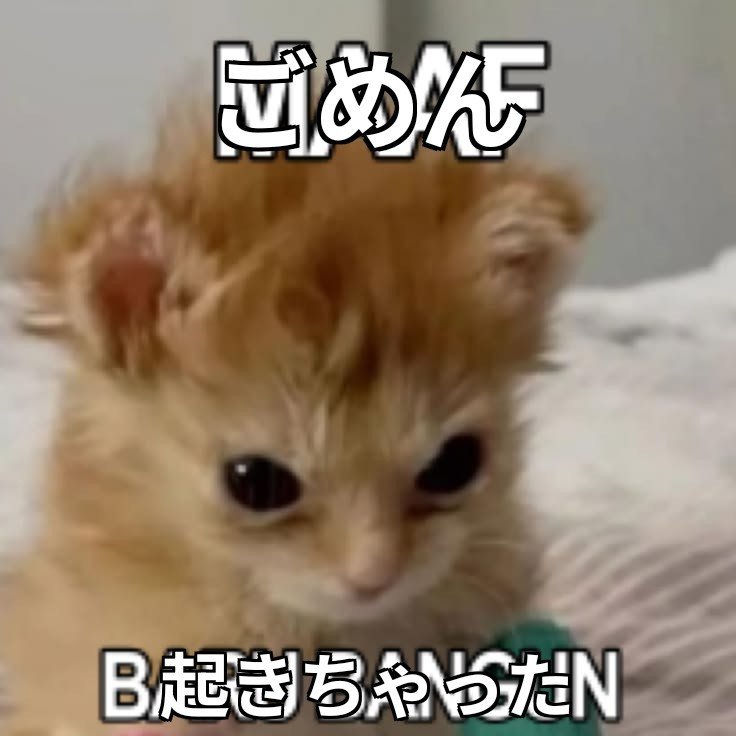 rusalapar's tweet photo. これ、僕が作った https://t.co/47cUTQ2KkX