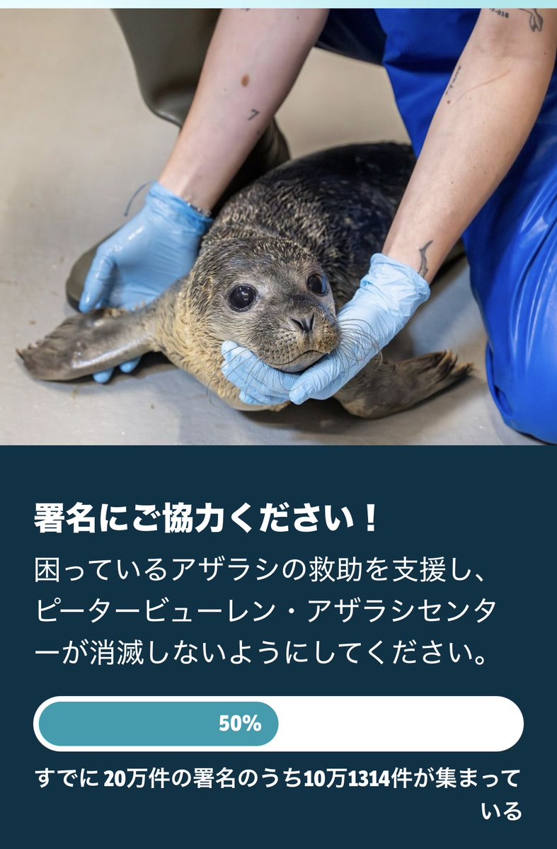 r_ruby_r's tweet photo. 昨日幼馴染に話したら署名してくれた😭優しい🫶

明日署名の提出を予定しています！
複数メアドが排除されたたため？、50%に戻ってしまいました。
どうか #アザラシ幼稚園 に興味を持っていただいた方、ご署名していただけないでしょうか🙇‍♂️

署名
https://t.co/94XLLikHvg

#SaveWEC https://t.co/PWHYR2hctG