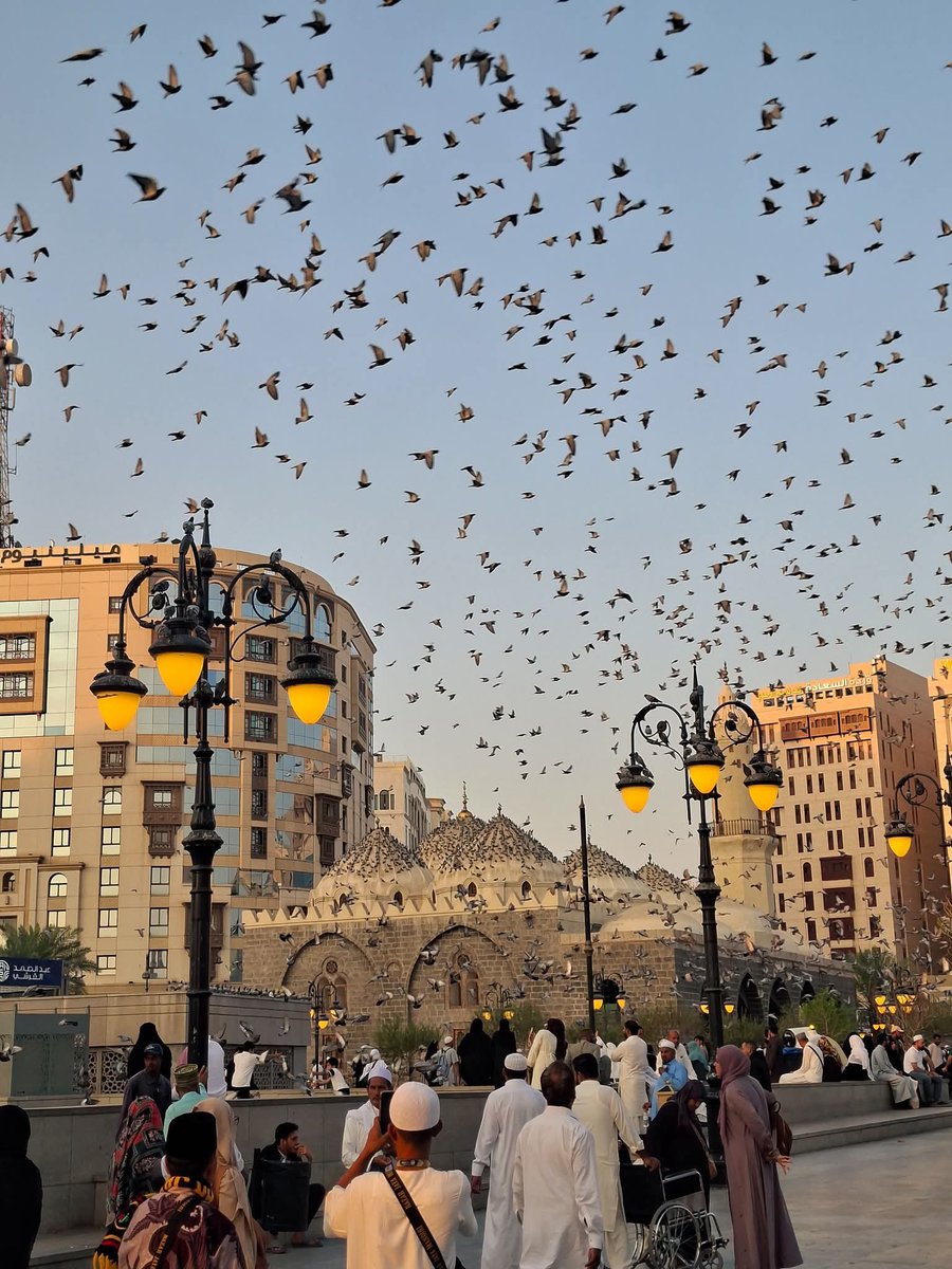 Hafsoosh's tweet photo. Morning view from madinah ,Saudi Arabia https://t.co/FXvGFP2h5H