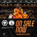 Photo by Wolves Fan Services (@WolvesHelp)