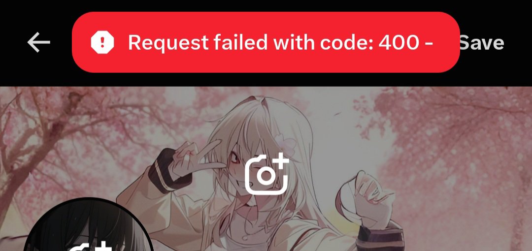 kxitnea's tweet photo. Why is  𝕏  is not allowing me to change my pfp?! I have tried multiple times but it's just showing me (Request failed) type shi! What should I do?! https://t.co/ZFGmhSX44V