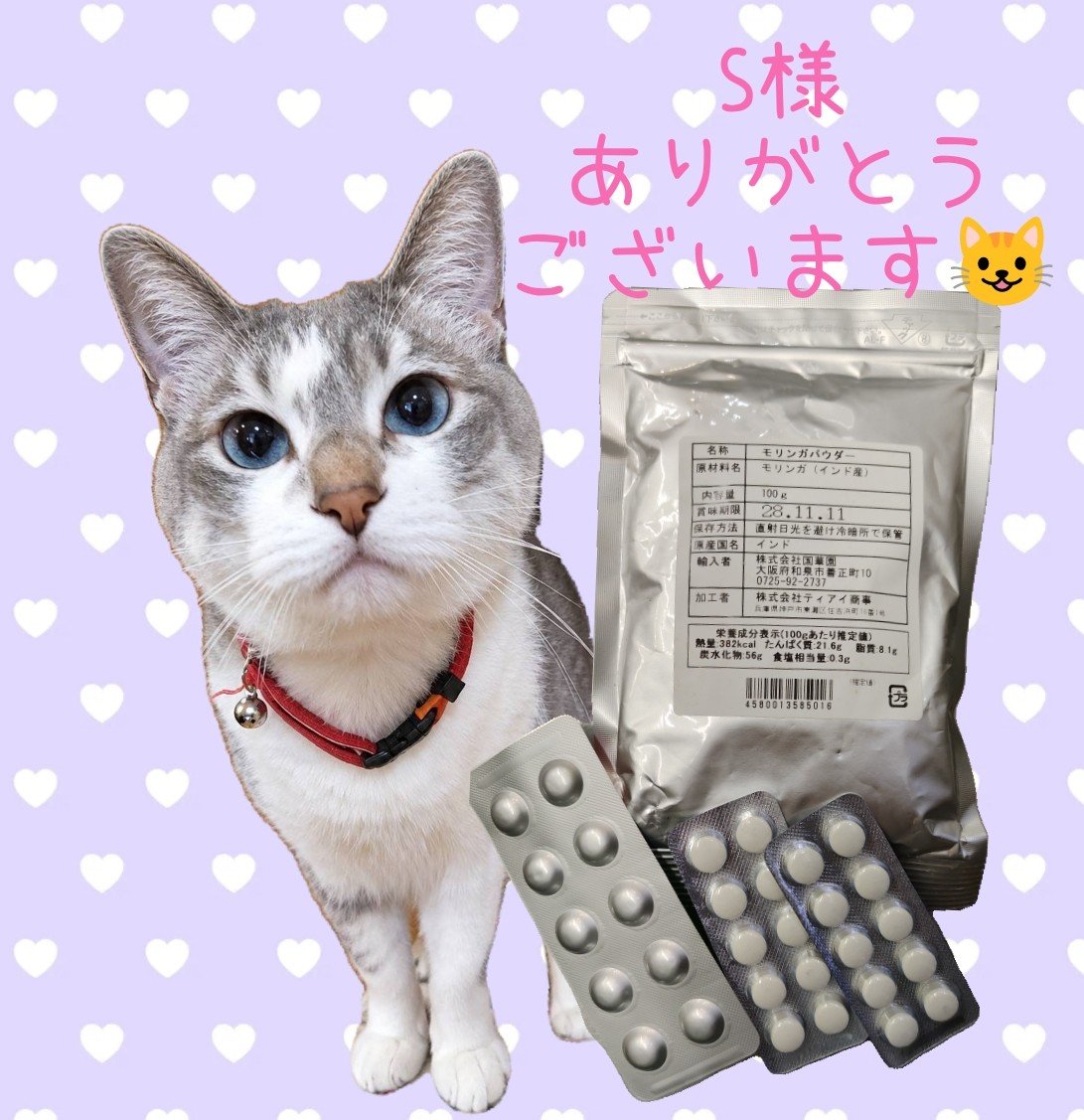 kedama_wacafe's tweet photo. ご来店のお客様＆フードを送っていただきました🎁
にゃんこ達の為に温かいお心遣い、本当にありがとうございます🙇‍♀️
有り難く使わせていただきます！ https://t.co/uS2V1kaQLw
