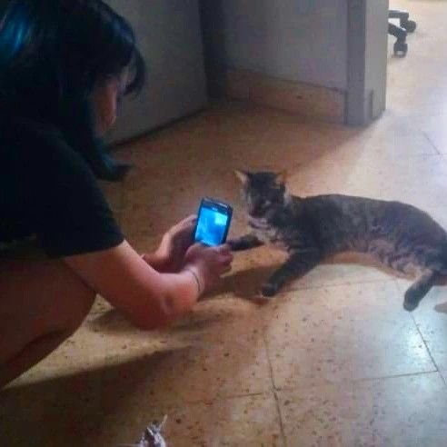 alynsunshine's tweet photo. Me with my cat. https://t.co/yD7kZNZ3Ys