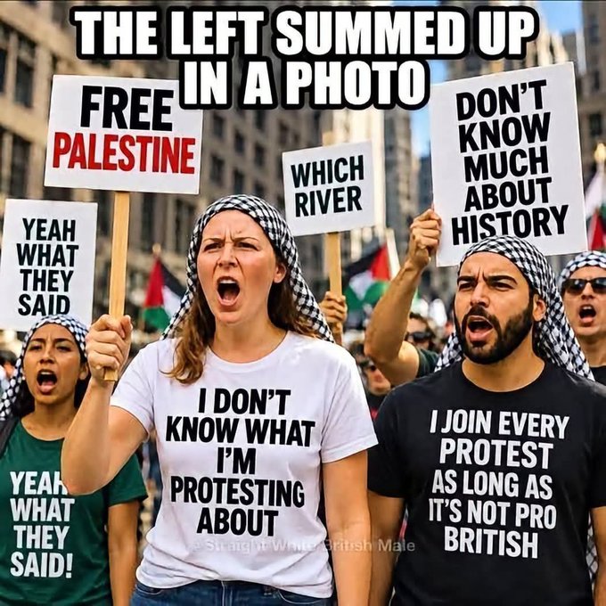 AdolffGrifter's tweet photo. @feinmhuinin @macklemore The Free Palestine crowd r so gullible &amp; low IQ. Just think of all the Hamas terrorists that are laughing their asses off that western virtue signaling dumb asses support their endless terror reign. They'd blow you all up in a second given a chance. They sacrifice their own kids! https://t.co/tpx2Ql823R