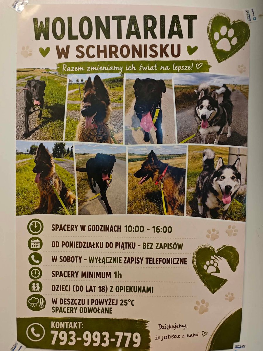 Sylwia691740277's tweet photo. Schronisko psie pole Racławice 40 km od Krakowa szuka wolontariuszy https://t.co/mqepU2VytJ