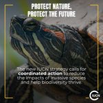 Photo by IUCN (@IUCN)