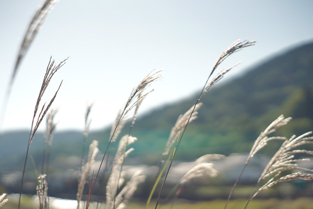 U_sgmr_'s tweet photo. Cos.

夏目友人帳

別れは決して悲しいことではない

なぜなら、それまでの思い出は永遠に
                                                   居続けるから

. https://t.co/8cgaag4fUY
