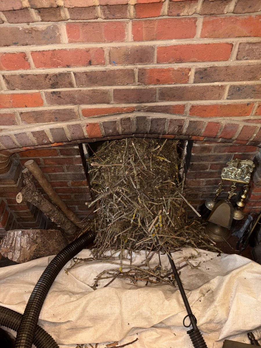 Flamecheck1's tweet photo. More nests 🪹 @Flamecheck1
#annualsweepisamust #firesafety #winterready #firerisk https://t.co/QvLqkJQH3q
