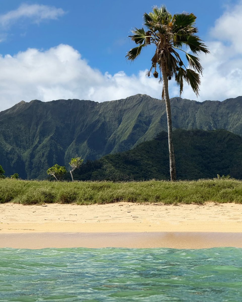 earthserenityy's tweet photo. Oahu Hawaii https://t.co/XDXmvt4FS6