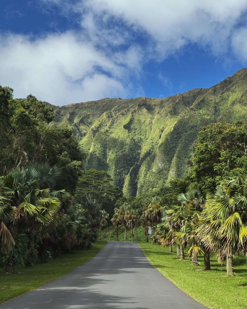 earthserenityy's tweet photo. Oahu Hawaii https://t.co/XDXmvt4FS6