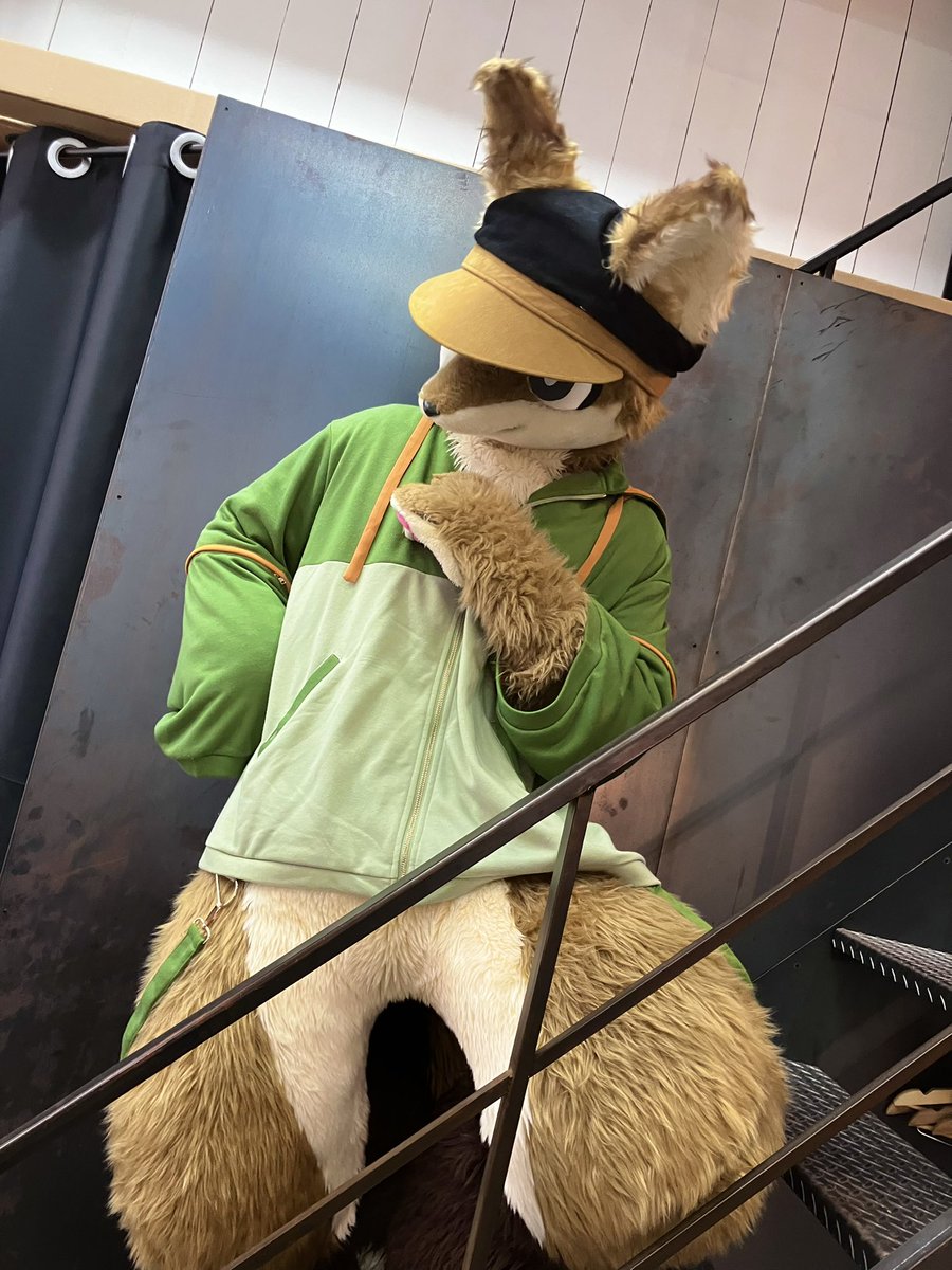 tepekemokemo's tweet photo. 今日この方も来てくれてました🦊
ホント感謝感激雨霰だわ〜
かわいいとかっこいいが同居してる〜 https://t.co/R9OvK7IZEK
