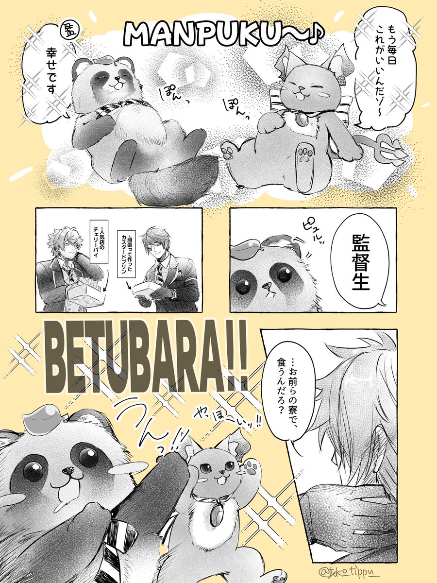 tyoko_tippu_'s tweet photo. マブだって負けません(🇯🇵狸監) https://t.co/SO8Ry7W4SA