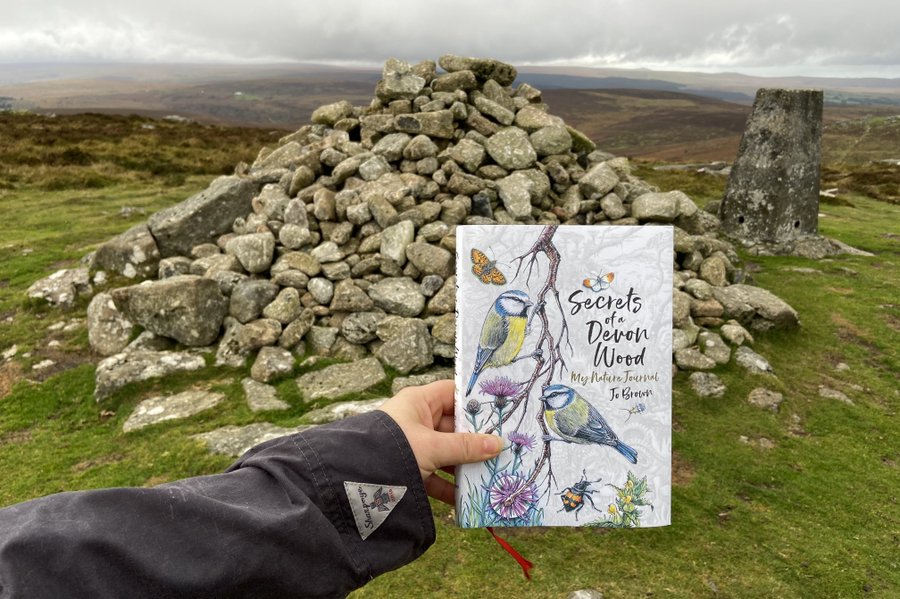bernoid's tweet photo. My nature journal, Secrets of a Devon Wood is ON SALE at @SummerfieldBook - what a bargain! 
https://t.co/i11a8ewR3Y https://t.co/JfzgbnFxTV