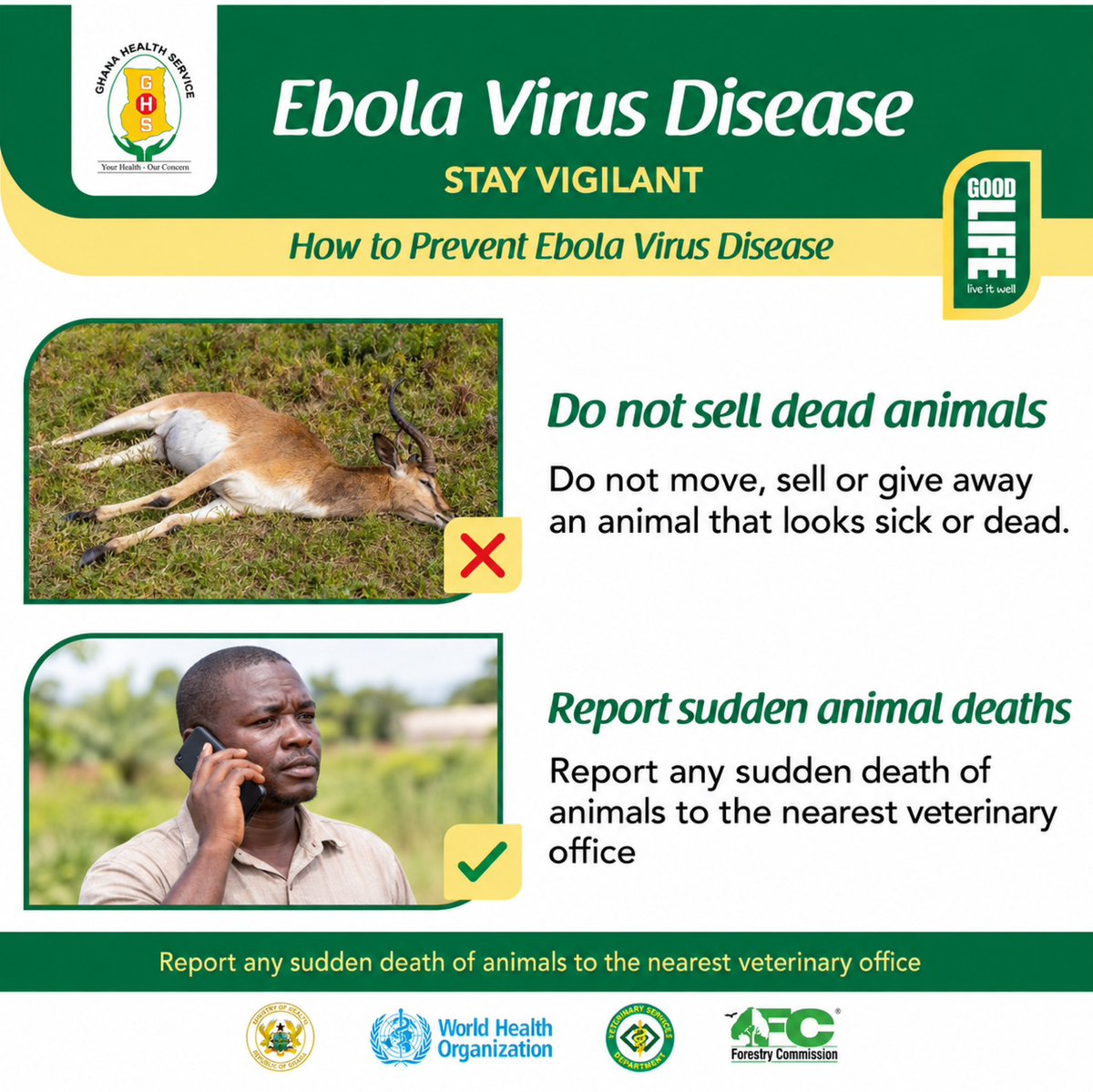 GoodLifeGh_'s tweet photo. Protect yourself by avoiding contact with bats, monkeys, apes and other wild animals found sick or dead. Do not handle or eat wild animals found dead, and follow official food safety advice when preparing animal products.l
#EbolaPrevention #FoodSafety #WildlifeSafety #GoodLifeGH https://t.co/RTge7FeufO