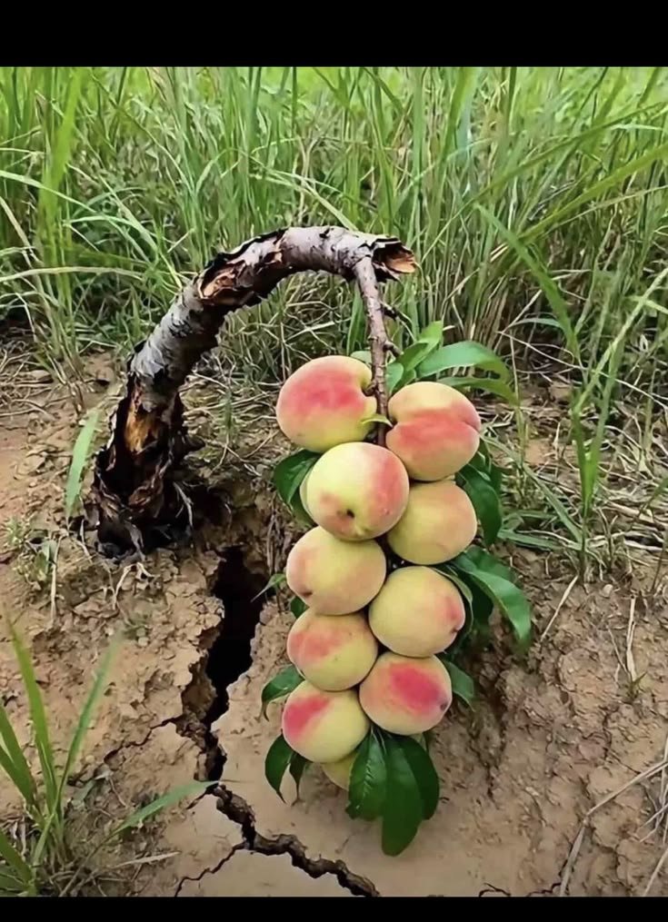 serpil_2323's tweet photo. "Sana hiç hesaba katmadığın,hayal bile edemeyeceğin yerlerden rızık vereceğim."

Talâk / 3 https://t.co/prWDBrtp50