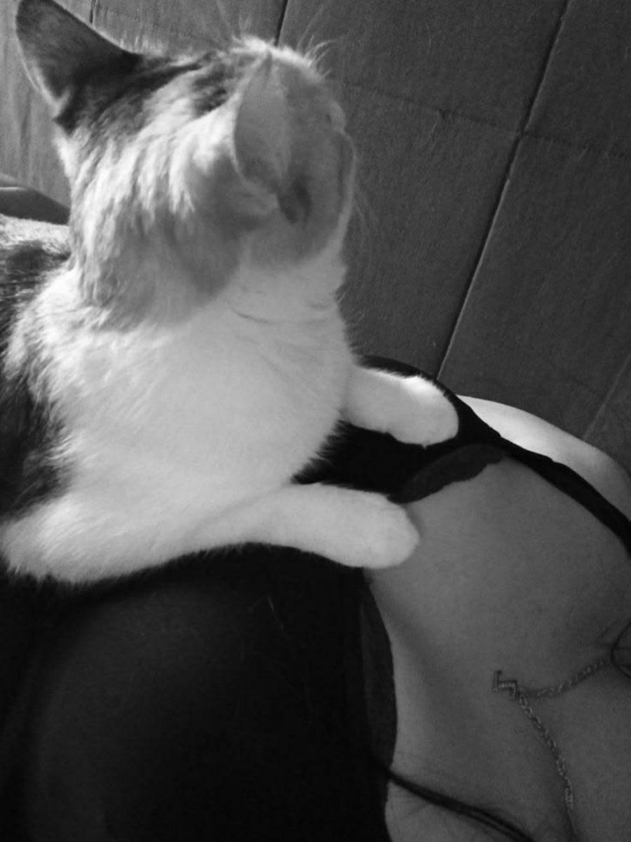 nastysecxie's tweet photo. 😼😼 https://t.co/pjlVABEn7P