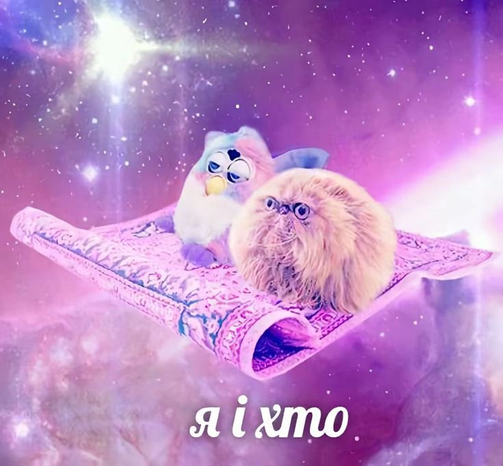 Silvertinn's tweet photo. Как влиться во всю эту твиттерскую тусовку, оч страшно. Где тут найти друзьяшек и мью sos https://t.co/SPmTcwDa32