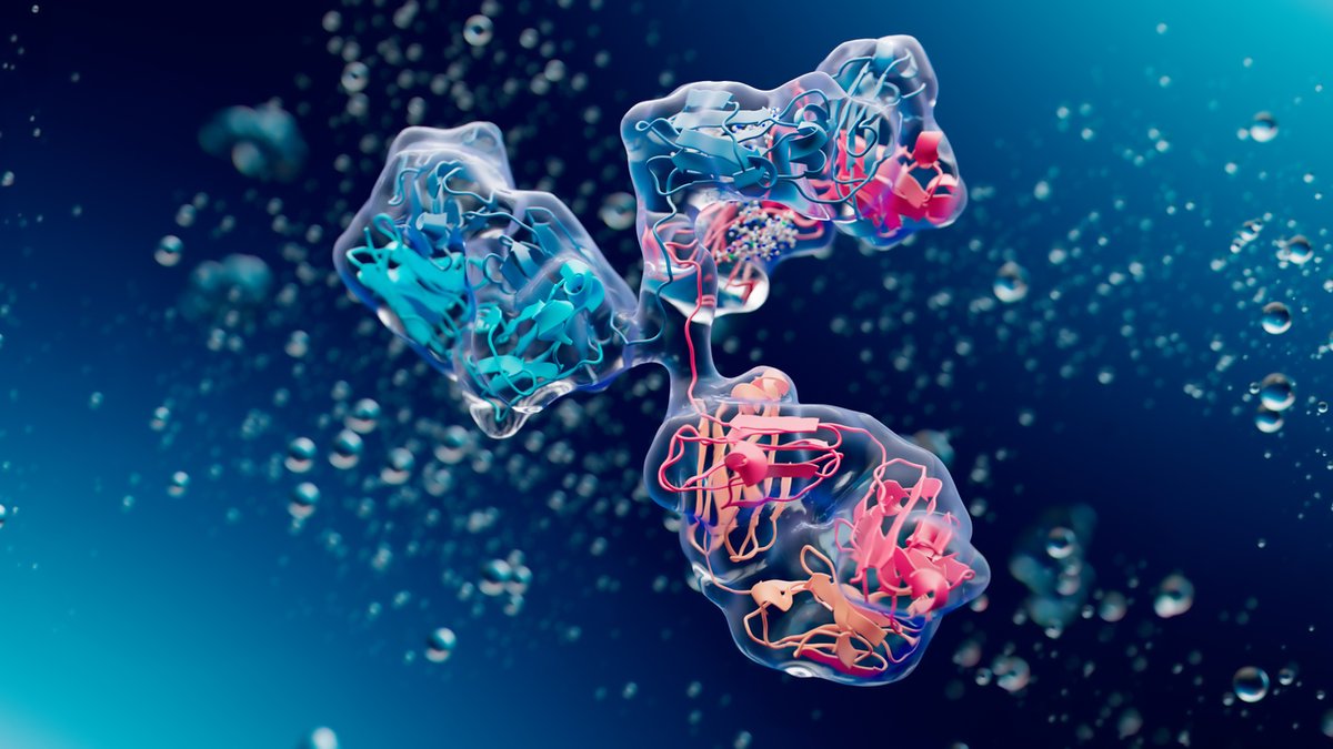 CSIC's tweet photo. 🦠Una bacteria intestinal burla una de las primeras defensas del organismo

🔬El trabajo de @IBMB_CSIC observa por primera vez el mecanismo usado por la bacteria 'T. ramosa' para inutilizar los anticuerpos que protegen la mucosa intestinal

➡️ https://t.co/VZ2ZOENvfz https://t.co/zFwp4wiDhW