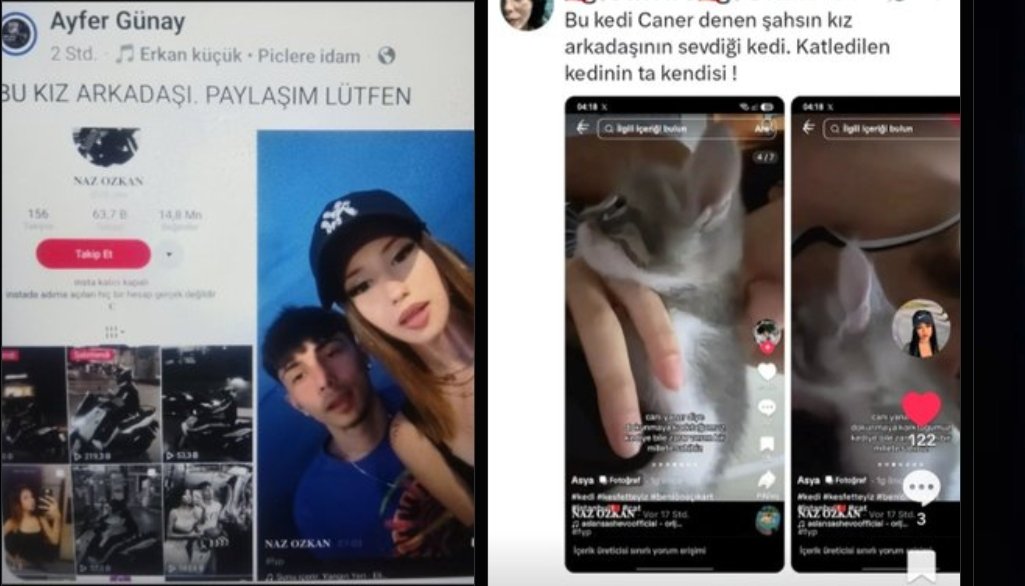 ecekurtulus41's tweet photo. Bu kedi Canerin oro*punun kedisi.  O çocuğu katleden de  kendisi. Ka*tak,  oç*pi*leri.  Nefesini kesicek kimse Yok mu 📢📢📢 https://t.co/PEsSYSugtx