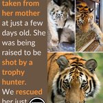 Photo by Campaign to Ban Trophy Hunting (@CBTHunting)