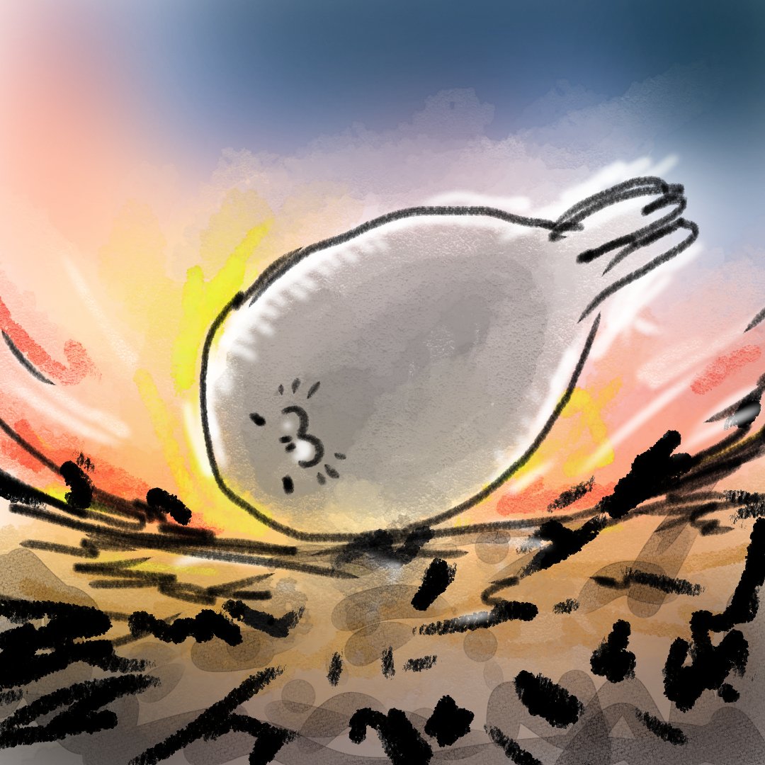 neco_mana's tweet photo. アザラシ落とし https://t.co/AWhsrdRaIM