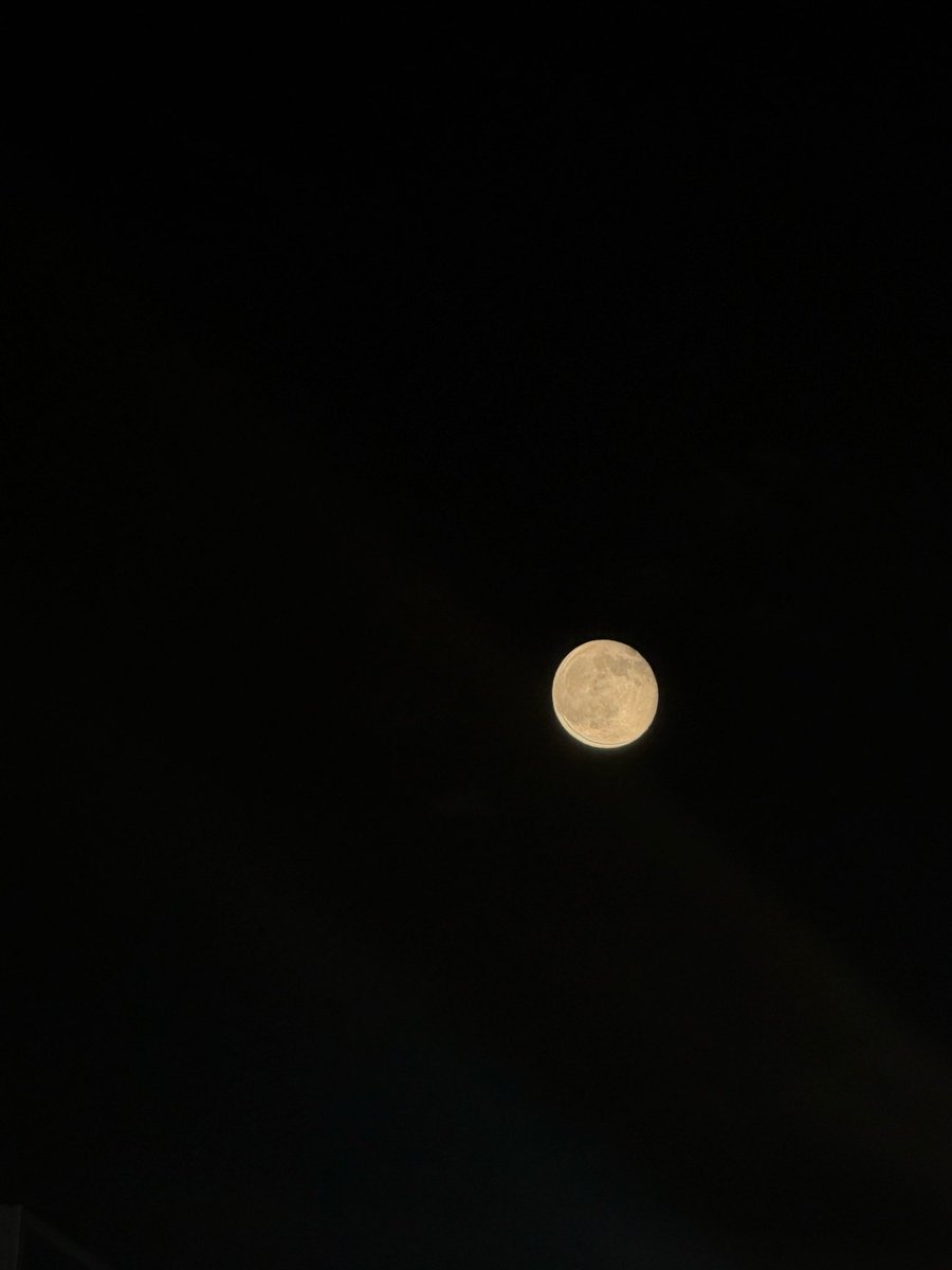 7_pon28's tweet photo. 君想う　宵の月
#Moonlit https://t.co/wGYIUcotnR