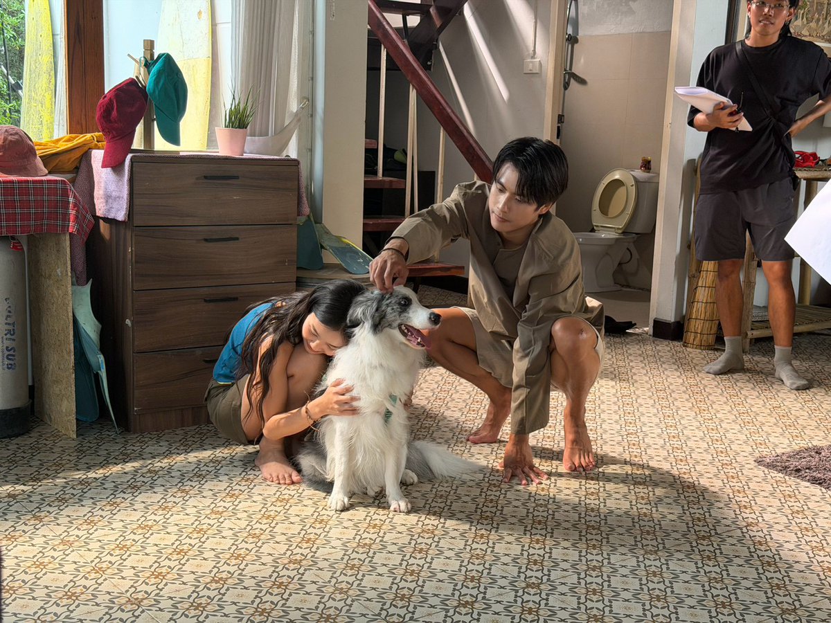 SurfnLoveSeries's tweet photo. มีบ้อกแบ้กกี่ตุวววววววว 🐶

#SurfNLove #GMMTV
@ohmpawatt @parnpeet https://t.co/Nf2Qln2Frm