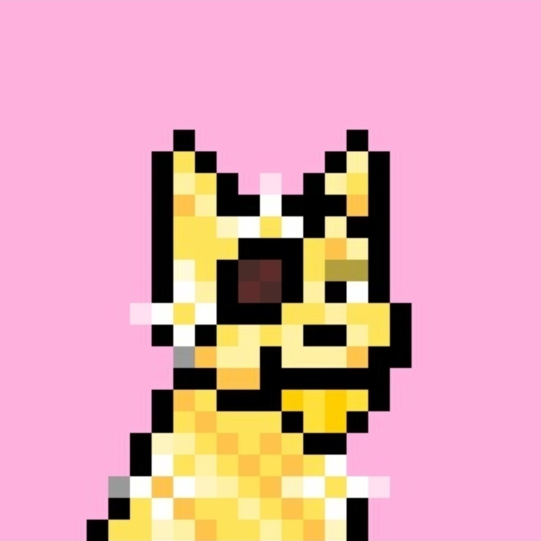 Ammondn's tweet photo. The Doginaldogs community is valuable don't forget that. 

Love always wins https://t.co/ZAn89FeDMn