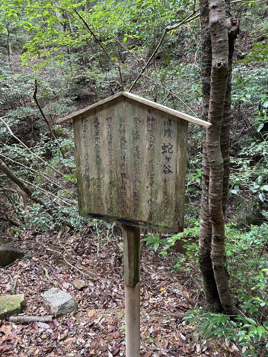 Ycreativelab's tweet photo. 本で読んだあの山へ行ってみよう

今日は友人と山へ。
数ヶ月前から準備してやっと実現しました。

雨上がり秋晴れ🍁
昨日までの大雨で木が倒れ、道が塞がれていたり、道を逆走して親切なおじさまコンビに助けていただいたり…
途中電波📶が入らないエリアもあり、
地図とコンパスを頼りに歩いていました。
