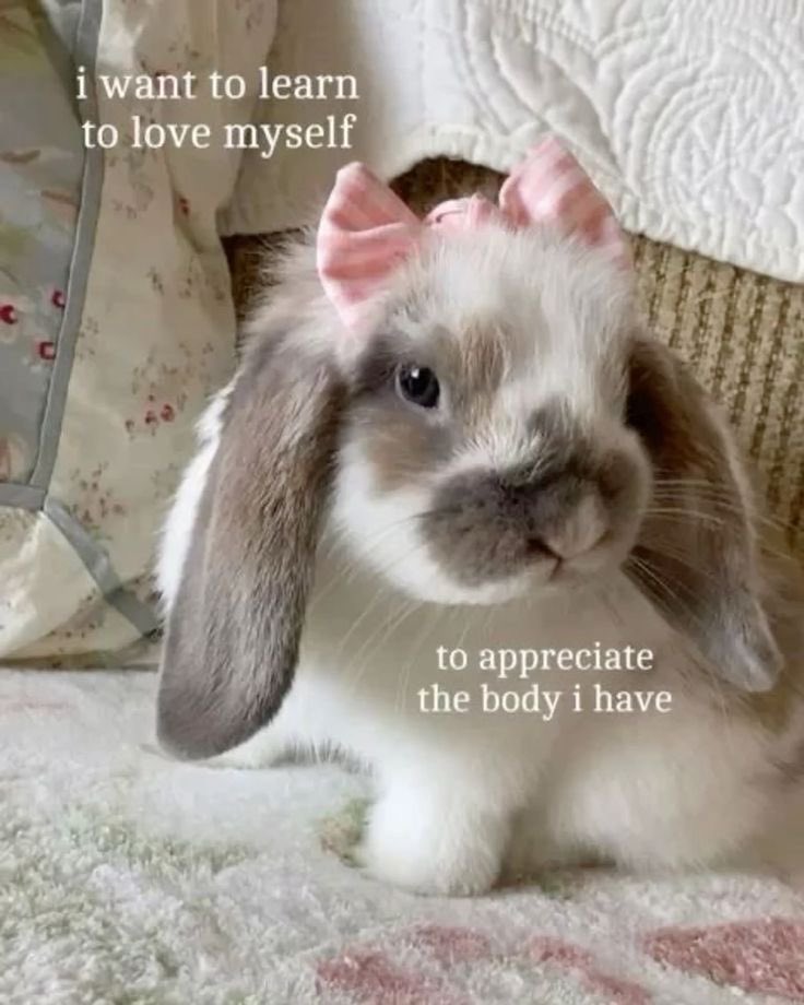 leporinecore's tweet photo. ‧₊˚ ⋅  #bunycore #hopecore https://t.co/xA4mbn9zUt