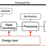 Photo by MDPI Environmental & Earth Sciences (@MDPIEnvironment)